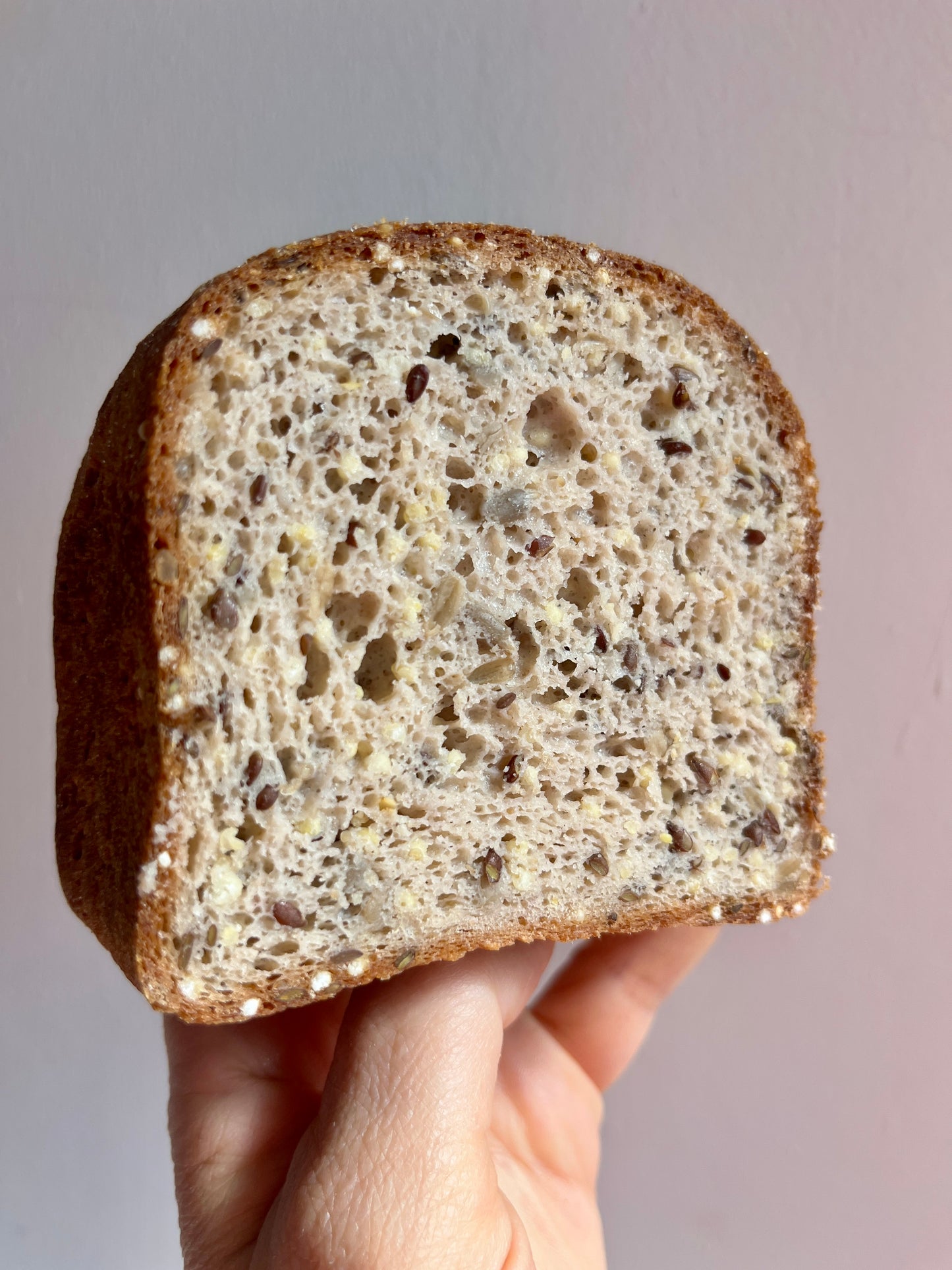 Pancare ai Semi, Gluten Free Seeded Sandwich Loaf