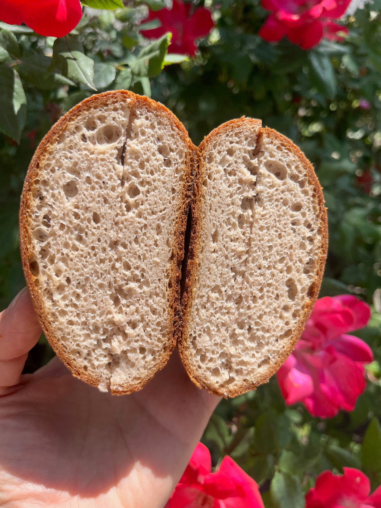 Pane di Patate, Gluten Free Potato Rolls