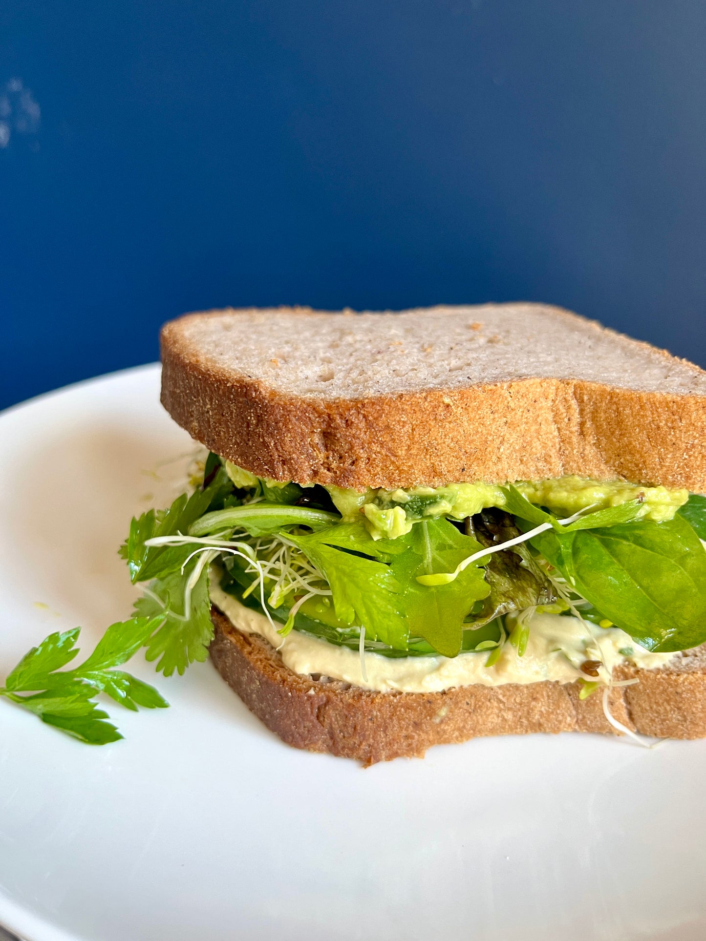 Pancarré Integral, Gluten Free Whole Grain Sandwich Loaf